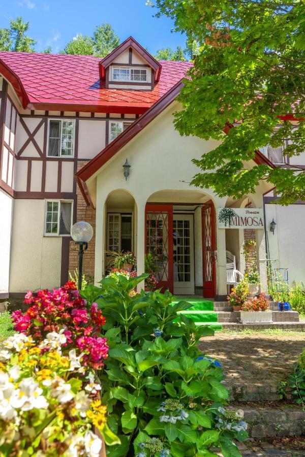 ピュアモール ミモザ Hotel Hakuba Ngoại thất bức ảnh